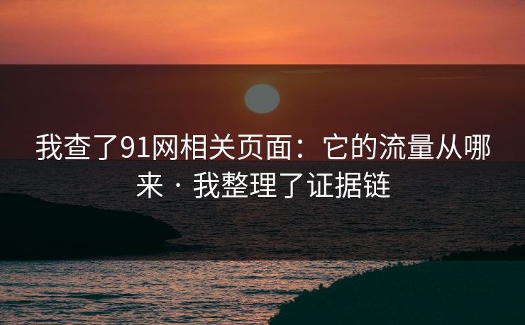 我查了91网相关页面：它的流量从哪来 · 我整理了证据链
