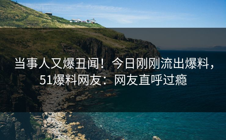 当事人又爆丑闻！今日刚刚流出爆料，51爆料网友：网友直呼过瘾