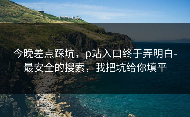 今晚差点踩坑,p站入口终于弄明白-最安全的搜索,我把坑给你填平