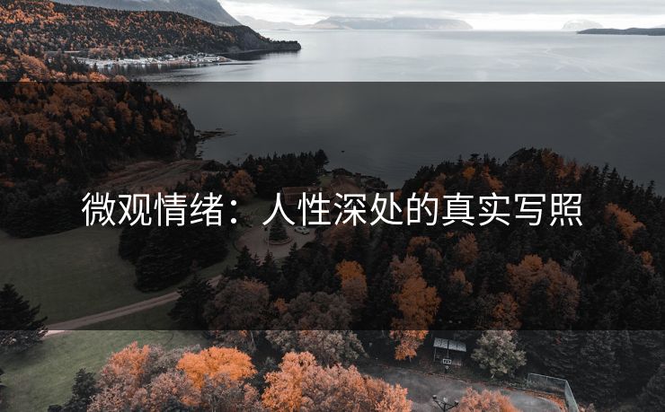 微观情绪：人性深处的真实写照